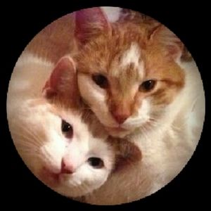 Meet your Posher, Diana